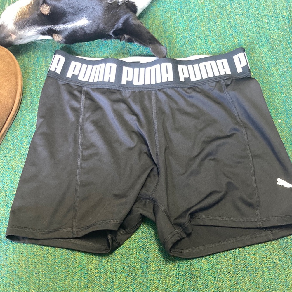 PUMA spanks
